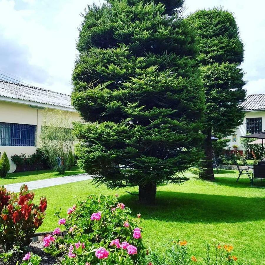 Hotel Colomba Huaraz  Exteriér fotografie